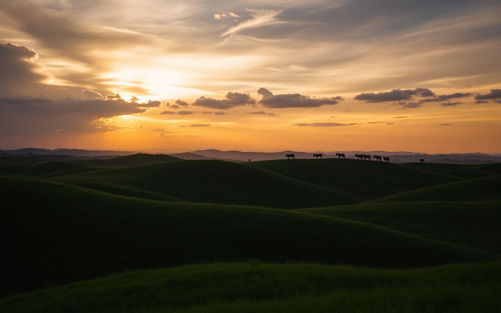 Bukit & Sabana